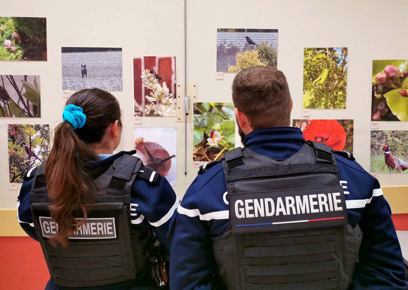 Exposition du concours-photo