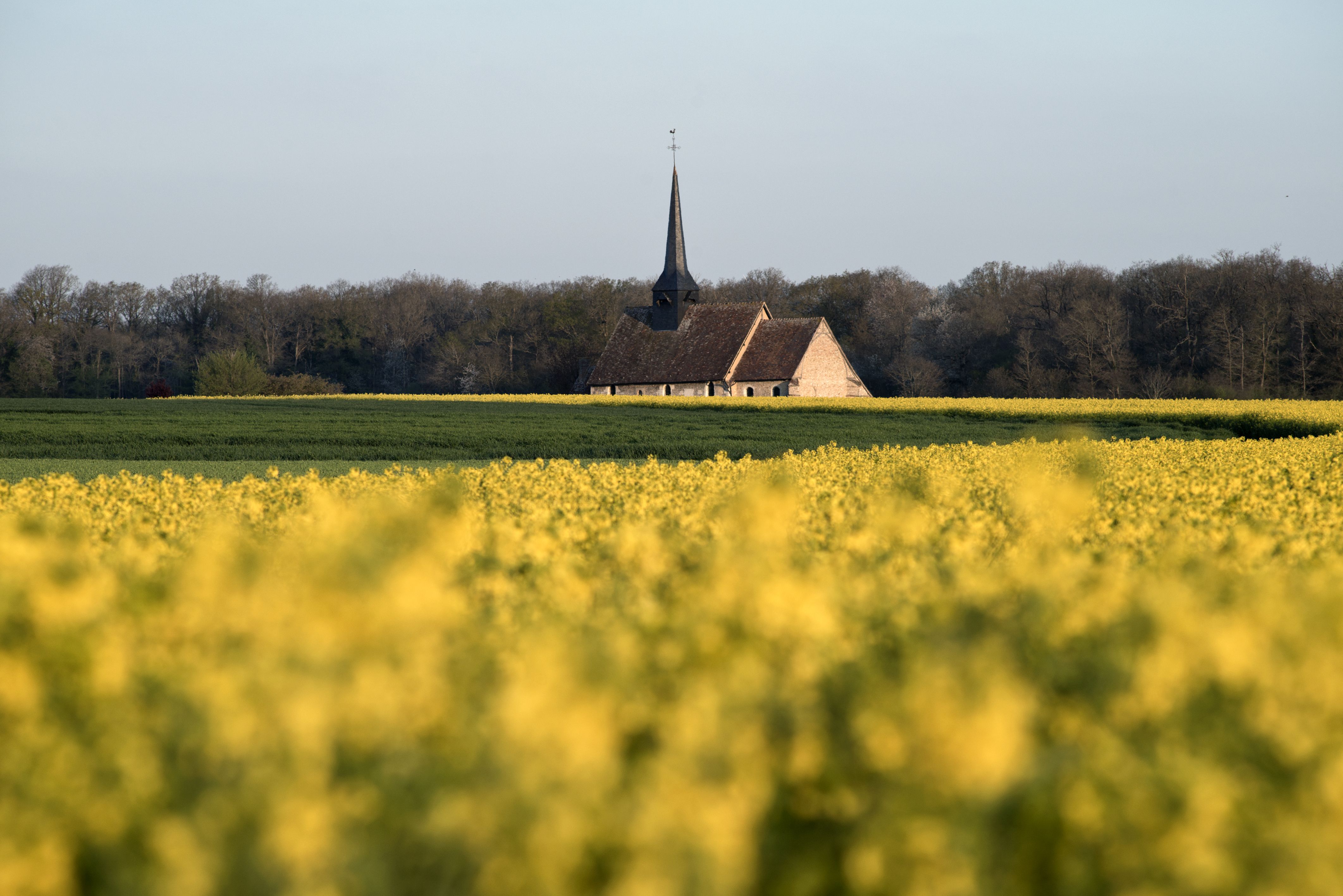 Grandvilliers - Eglise